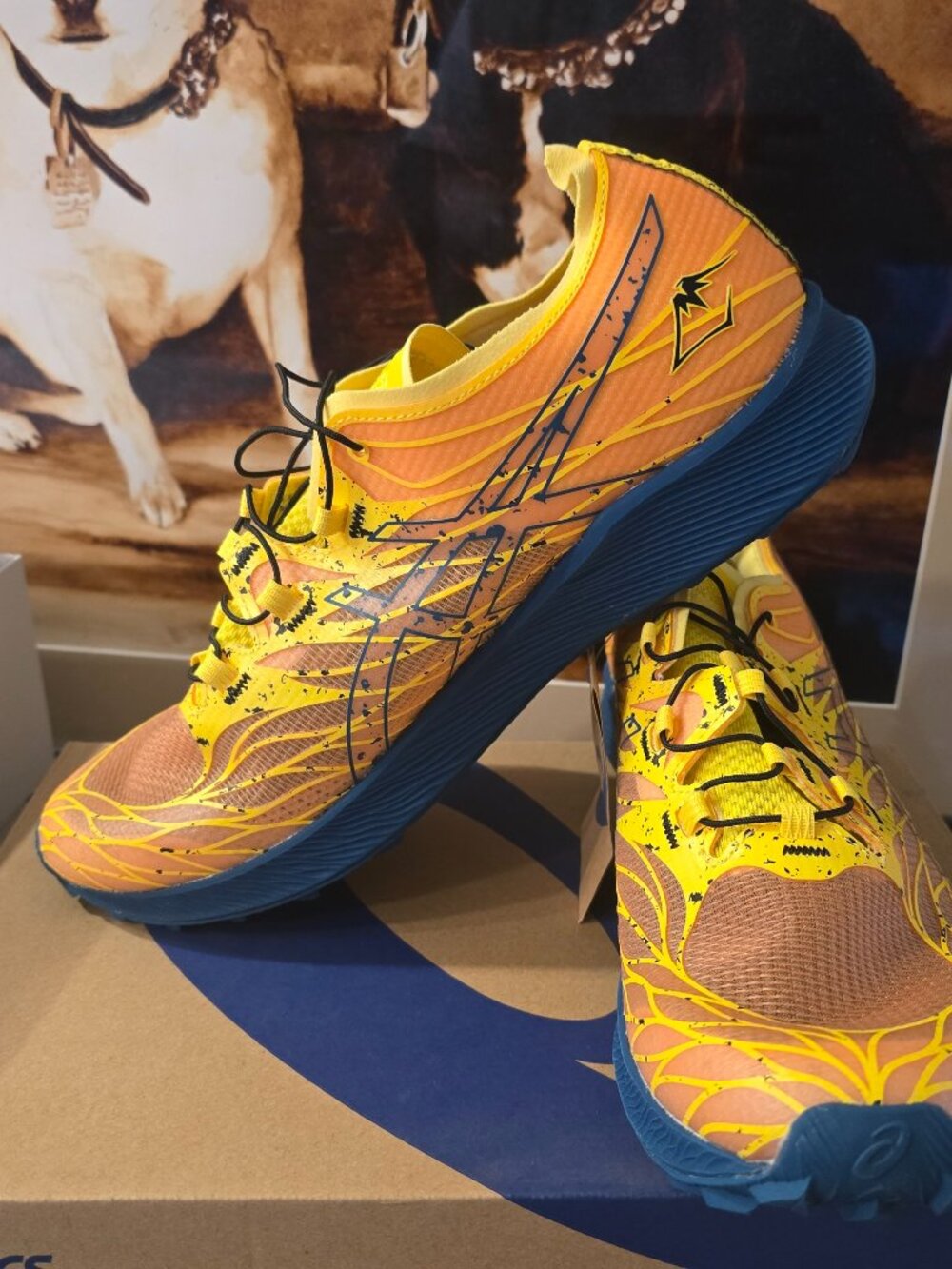 ASICS Fuji speed Low 1011B330-750 Trail Shoes Running Mens Size 11 US New